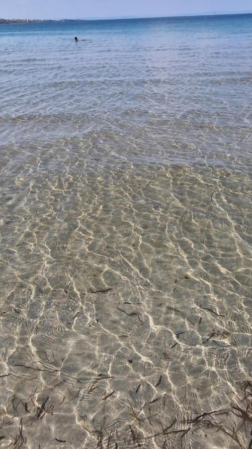Eve Santa Marina Apartments - Sea, Pools, Relax سوزوبول المظهر الخارجي الصورة
